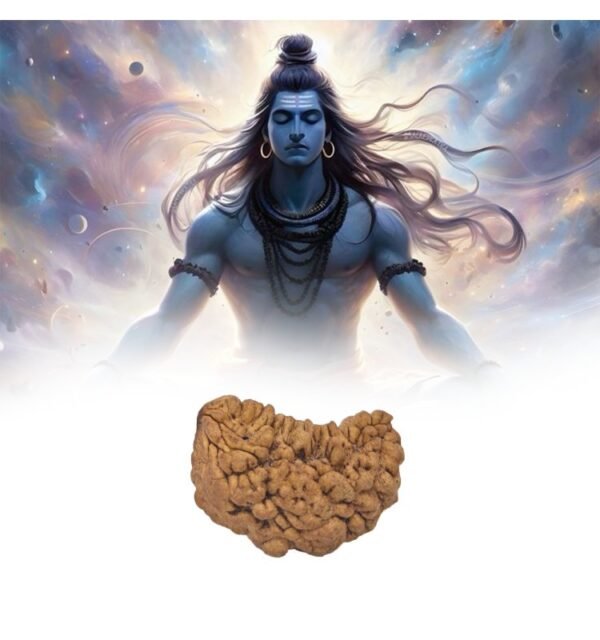 One Mukhi Rudraksha