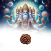 Four Mukhi Rudraksha