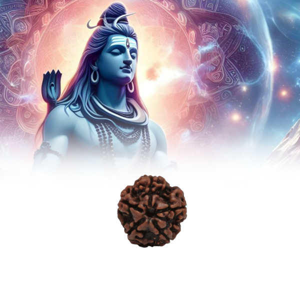 Five Mukhi Rudraksha