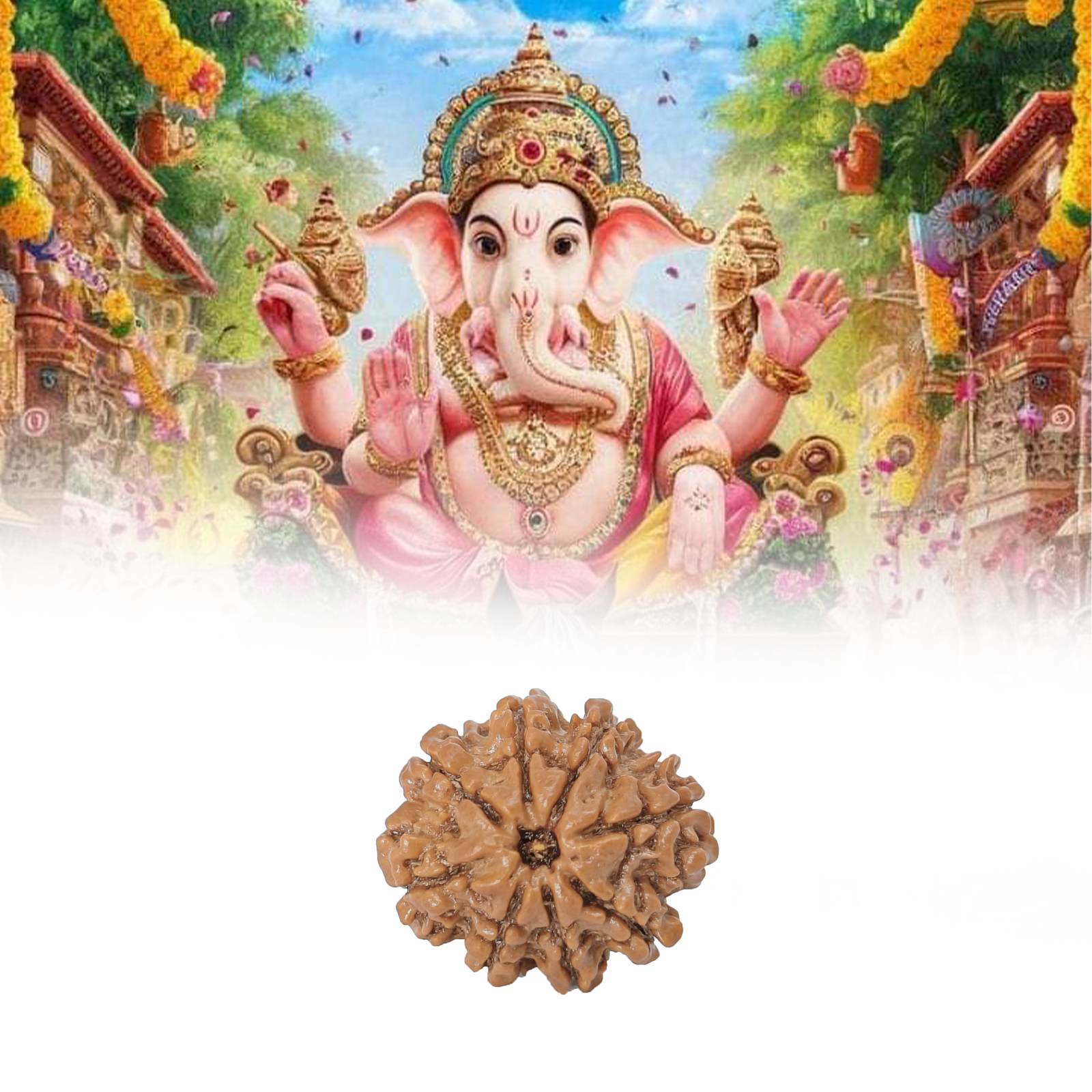Eight Mukhi Rudraksha - Image 2