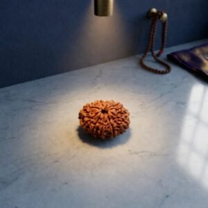 Ten Mukhi Rudraksha