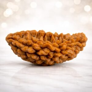 One Mukhi Rudraksha