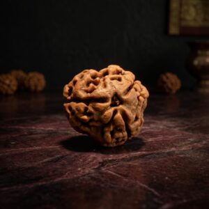 Three Mukhi Rudraksha