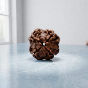 Four Mukhi Rudraksha