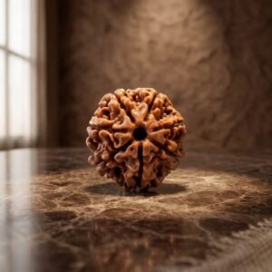 Seven Mukhi Rudraksha