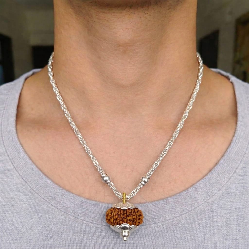 Eleven Mukhi Rudraksha - Image 6